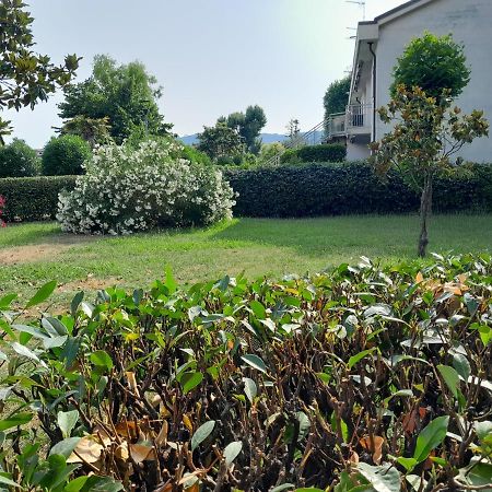 דירות מארינלה די סרזאנה Tra Cinque Terre E Versilia מראה חיצוני תמונה